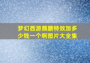 梦幻西游麒麟特效加多少钱一个啊图片大全集