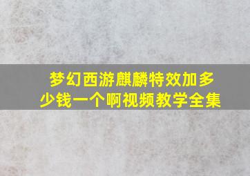 梦幻西游麒麟特效加多少钱一个啊视频教学全集