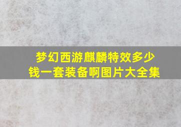 梦幻西游麒麟特效多少钱一套装备啊图片大全集