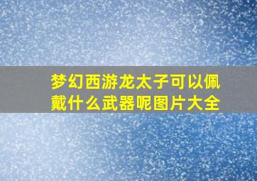 梦幻西游龙太子可以佩戴什么武器呢图片大全