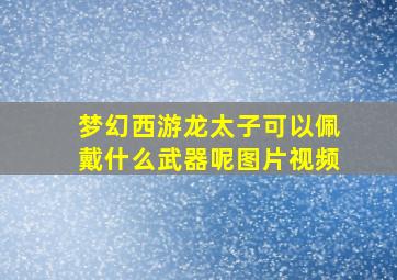 梦幻西游龙太子可以佩戴什么武器呢图片视频