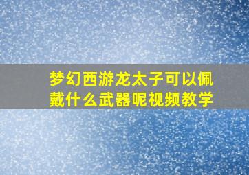 梦幻西游龙太子可以佩戴什么武器呢视频教学