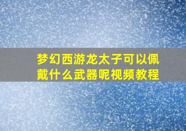 梦幻西游龙太子可以佩戴什么武器呢视频教程