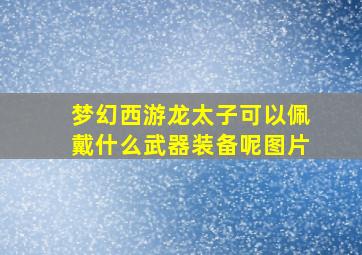 梦幻西游龙太子可以佩戴什么武器装备呢图片