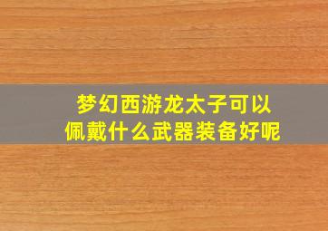 梦幻西游龙太子可以佩戴什么武器装备好呢