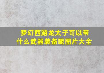 梦幻西游龙太子可以带什么武器装备呢图片大全