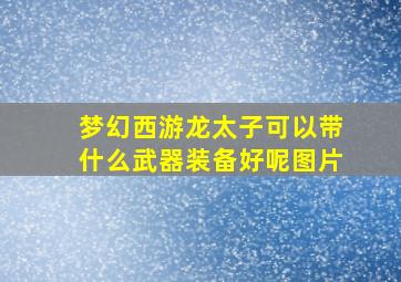 梦幻西游龙太子可以带什么武器装备好呢图片