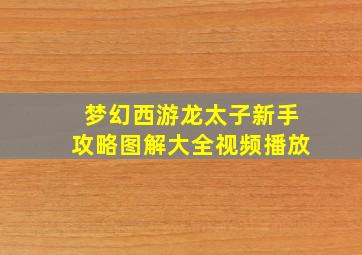 梦幻西游龙太子新手攻略图解大全视频播放