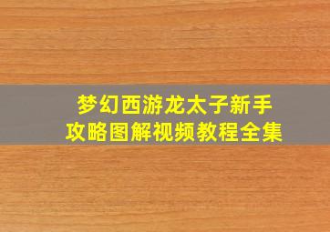 梦幻西游龙太子新手攻略图解视频教程全集