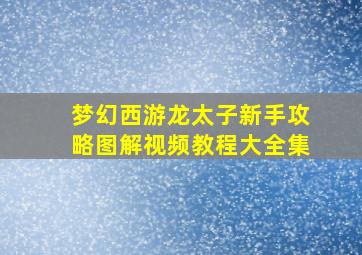 梦幻西游龙太子新手攻略图解视频教程大全集