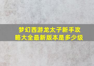 梦幻西游龙太子新手攻略大全最新版本是多少级