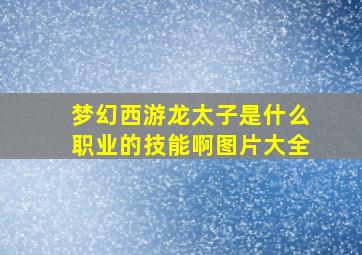 梦幻西游龙太子是什么职业的技能啊图片大全