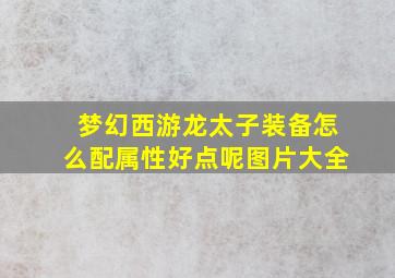 梦幻西游龙太子装备怎么配属性好点呢图片大全