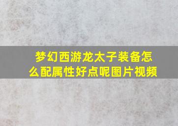 梦幻西游龙太子装备怎么配属性好点呢图片视频