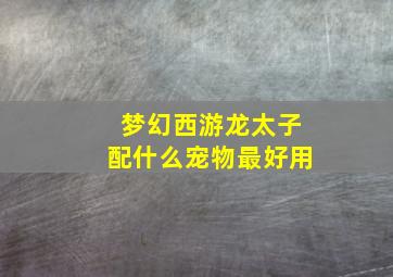 梦幻西游龙太子配什么宠物最好用