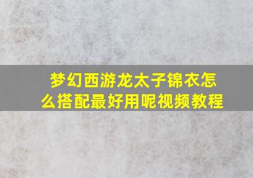 梦幻西游龙太子锦衣怎么搭配最好用呢视频教程