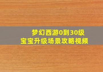 梦幻西游0到30级宝宝升级场景攻略视频