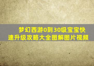 梦幻西游0到30级宝宝快速升级攻略大全图解图片视频