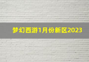 梦幻西游1月份新区2023