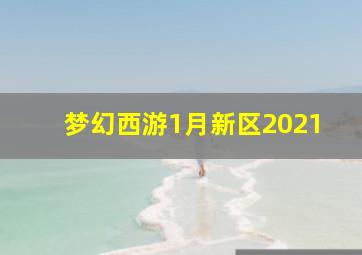 梦幻西游1月新区2021