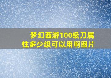 梦幻西游100级刀属性多少级可以用啊图片