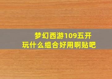 梦幻西游109五开玩什么组合好用啊贴吧