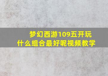 梦幻西游109五开玩什么组合最好呢视频教学