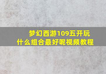 梦幻西游109五开玩什么组合最好呢视频教程