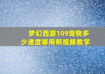 梦幻西游109宠物多少速度够用啊视频教学