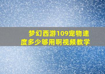 梦幻西游109宠物速度多少够用啊视频教学