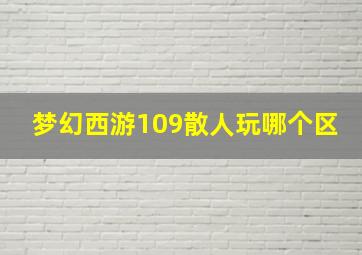 梦幻西游109散人玩哪个区