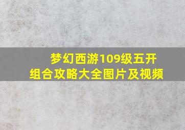 梦幻西游109级五开组合攻略大全图片及视频