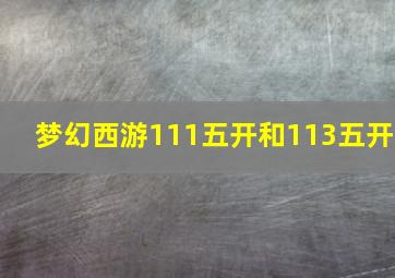 梦幻西游111五开和113五开