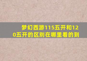 梦幻西游115五开和120五开的区别在哪里看的到