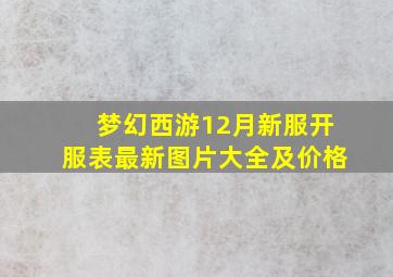 梦幻西游12月新服开服表最新图片大全及价格