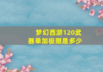 梦幻西游120武器单加极限是多少