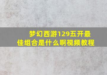 梦幻西游129五开最佳组合是什么啊视频教程