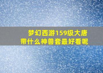 梦幻西游159级大唐带什么神兽套最好看呢