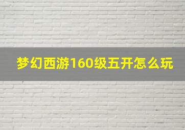 梦幻西游160级五开怎么玩