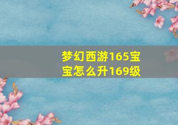 梦幻西游165宝宝怎么升169级