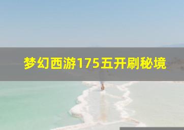 梦幻西游175五开刷秘境