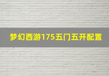 梦幻西游175五门五开配置