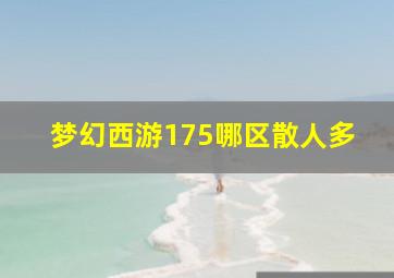 梦幻西游175哪区散人多