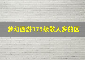 梦幻西游175级散人多的区