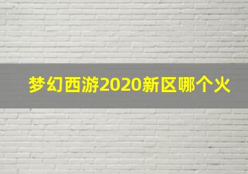 梦幻西游2020新区哪个火