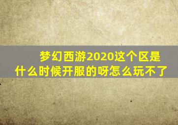 梦幻西游2020这个区是什么时候开服的呀怎么玩不了