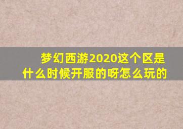 梦幻西游2020这个区是什么时候开服的呀怎么玩的