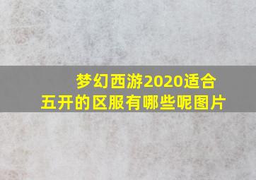 梦幻西游2020适合五开的区服有哪些呢图片