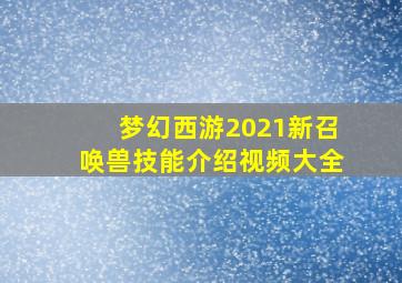 梦幻西游2021新召唤兽技能介绍视频大全