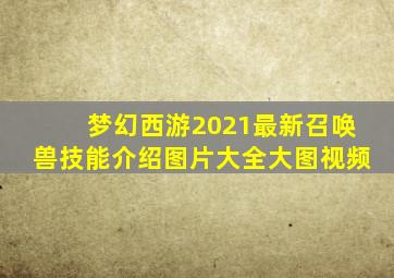 梦幻西游2021最新召唤兽技能介绍图片大全大图视频